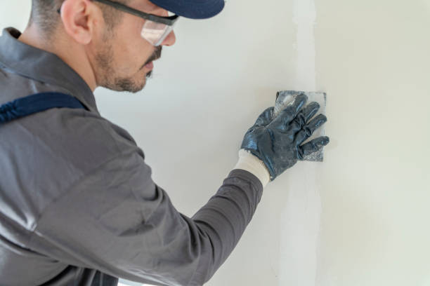 Best Exterior Painting  in Socorro, TX